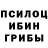 Галлюциногенные грибы прущие грибы Nurjan Asanbekova