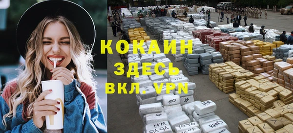 дмт Алексин