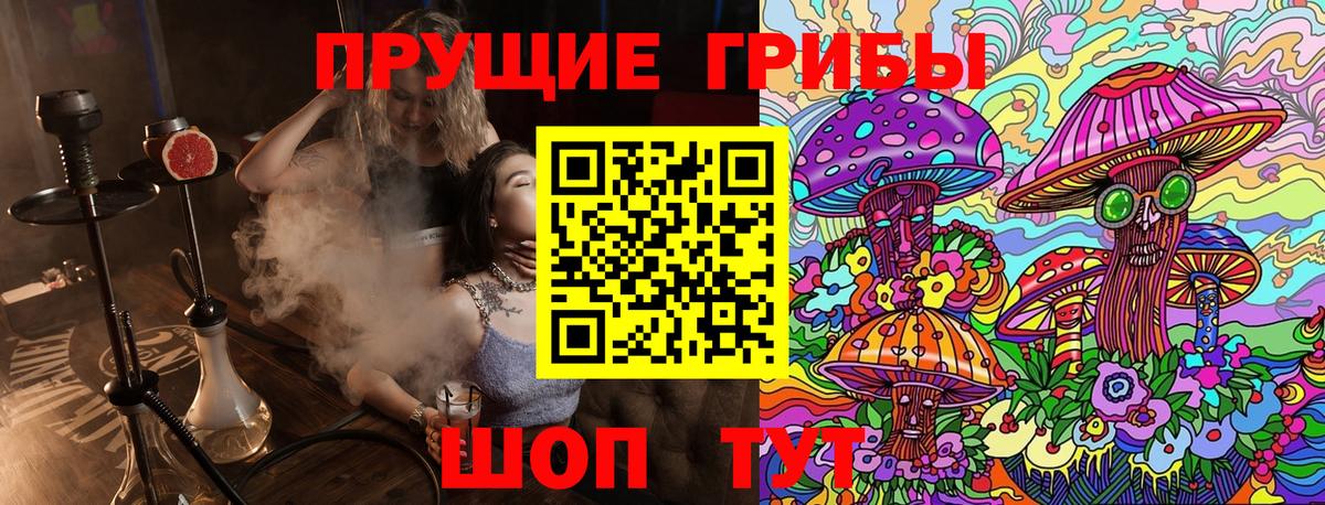Тара  Галлюциногенные грибы мицелий  Вход с VPN 