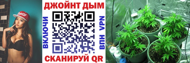 Бошки Шишки конопля  купить наркотик  Тара 